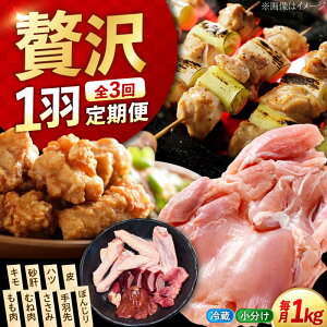 �y�ӂ邳�Ɣ[�Łz�y�S3�����ցz���܂����Ⴄ�I ���Ƃ����炿�̍]�c���Y�n�{ �ꍕ�V������H�p�b�N(���v��1kg) �{ �l�C �� �O���� ���� �v���[���g �L�����Y �]�c���s/�|�[�N���`�L��