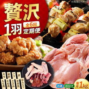 �y�ӂ邳�Ɣ[�Łz�y�S6�����ցz���܂����Ⴄ�I ���Ƃ����炿�̍]�c���Y�n�{ �ꍕ�V������H�p�b�N(���v��1kg) �{ �l�C �� �O���� ���� �v���[���g �L�����Y �]�c���s/�|�[�N���`�L��