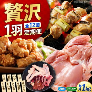 �y�ӂ邳�Ɣ[�Łz�y�S12�����ցz���܂����Ⴄ�I ���Ƃ����炿�̍]�c���Y�n�{ �ꍕ�V������H�p�b�N(���v��1kg) �{ �l�C �� �O���� ���� �v���[���g �L�����Y �]�c���s/�|�[�N���`�L��