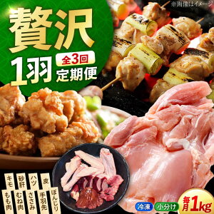 �y�ӂ邳�Ɣ[�Łz�y�S3�����ցz�{�� �Ⓚ �]�c���Y�n�{ �Ⓚ �ꍕ�V���� ��H �p�b�N ���v��1kg �{�� �� ���� �ɂ� ���ɂ� ���Y �L�����Y �]�c���s/�|�[�N�A���h�`�L���]�c��[XAH008] �{�� ��