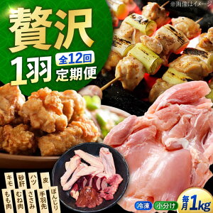 �y�ӂ邳�Ɣ[�Łz�y�S12�����ցz�{�� �Ⓚ �]�c���Y�n�{ �Ⓚ �ꍕ�V���� ��H �p�b�N ���v��1kg �{�� �� ���� �ɂ� ���ɂ� ���Y �L�����Y �]�c���s/�|�[�N�A���h�`�L���]�c��[XAH010] �{�� ��