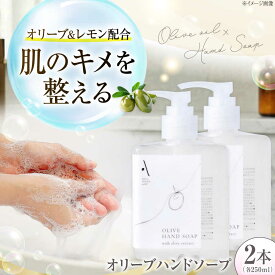 【ふるさと納税】オリーブハンドソープ【AKI no SHIMA no MI】250ml×2本 美容 ボディケア ハンドケア 江田島市/リベラグループ[XAJ113] 石鹸 オリーブハンドソープ せっけん スキンケア ハンドケア 手洗い ハンドソープ ギフト 国産 広島県産 人気 送料無料