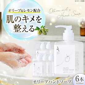 【ふるさと納税】オリーブハンドソープ【AKI no SHIMA no MI】250ml×6本 美容 ボディケア ハンドケア 江田島市/リベラグループ[XAJ115] 石鹸 オリーブハンドソープ せっけん スキンケア ハンドケア 手洗い ハンドソープ ギフト 国産 広島県産 人気 送料無料