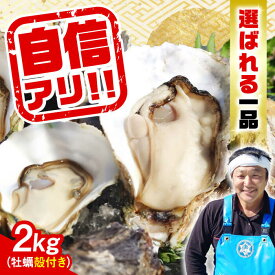 【ふるさと納税】特選 牡蠣三昧！ 【生牡蠣】広島牡蠣　殻付き2kg 人気 かき 広島 料理 簡単 レシピ 海鮮 ギフト 広島県産 江田島市/株式会社門林水産[XAO008]