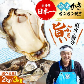 【ふるさと納税】おうちで牡蠣小屋気分！【冷凍】【選べる内容量】牡蠣 カンカン焼き カキ かき 冷凍 料理 殻付き カキフライ 魚介類 海鮮 ギフト 広島県産 人気 送料無料 江田島市/株式会社門林水産[XAO032]