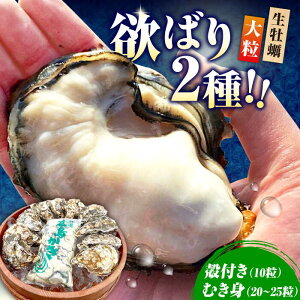 yӂ邳Ɣ[Łz嗱łՂՂyyzyw\zy ނg 500gEkt 10 y H ނg  JL Iׂ  JL JLtC ① CN LY lC  ]