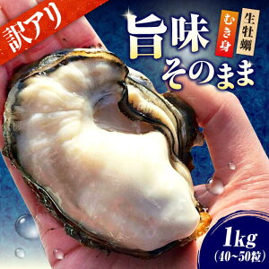 yӂ邳Ɣ[Łz͂̂܂܁y󂠂zyyzy ނg Ղ 1kg I  KiO y H ނg kt  JL y JLtC ① CN LY lC  ]