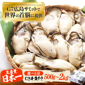 【ふるさと納税】広島G7で提供！【生牡蠣】【選べる配送月・内容量】やながわ自慢！むき身 牡蠣 700g〜2kg かき 海鮮 和食 海産物 簡単 広島県産 江田島市/マルサ・やながわ水産有限会社[XBL001] 牡蠣 生食 むき身 殻付き かき カキ 生牡蠣 カキフライ 広島牡蠣