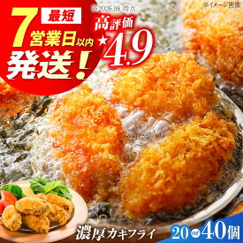 【ふるさと納税】カキフライ 広島G7で提供！こだわりカキフライ（瞬間冷凍）牡蠣 冷凍 かき カキ カキフライ 冷蔵 海鮮 海産物 魚介類 広島県産 人気 送料無料 江田島市/マルサ・やながわ水産有限会社 [XBL005]