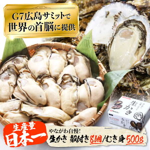 【ふるさと納税】広島G7で提供された牡蠣!【生牡蠣】【着日指定可能】やながわ自慢! 牡蠣 むき身500g/殻付き8個 かき 海鮮 和食 海産物 簡単 レシピ 広島県産 江田島市/マルサ・やながわ