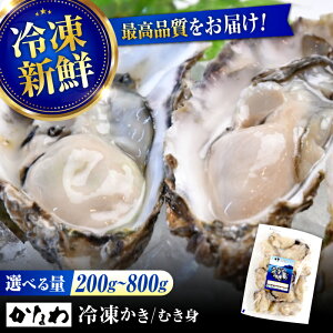 yӂ邳Ɣ[ŁzLy̘V܂ȂyIׂ锭EeʁzȂ Ⓚy ނg 200g`800g y  JL JLtC Ⓚ Hp  CN Mtg LY lC  yV