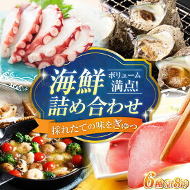 【ふるさと納税】【鮮度抜群】海鮮 6種 詰め合わせ「梅」 海鮮 魚介類 冷凍 水産加工品 海藻 鮮魚 さかな 刺身 盛り合わせ 詰め合わせ セット 小分け 料理 和食 時短 便利 ギフト 広島県産 人気 送料無料 江田島市/七宝丸[XBY001] 【7日以内発送】