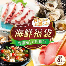 【ふるさと納税】【何が届くかお楽しみ】旬の海の幸 福袋 寄附額 1万円相当 海鮮 魚介類 冷凍 水産加工品 海藻 鮮魚 さかな 刺身 盛り合わせ 詰め合わせ セット 料理 和食 時短 便利 ギフト 広島県産 人気 送料無料 江田島市/七宝丸[XBY004] 【7日以内発送】