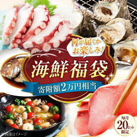 【ふるさと納税】【何が届くかお楽しみ】旬の海の幸 福袋 寄附額 2万円相当 海鮮 魚介類 冷凍 水産加工品 海藻 鮮魚 さかな 刺身 盛り合わせ 詰め合わせ セット 料理 和食 時短 便利 ギフト 広島県産 人気 送料無料 江田島市/七宝丸[XBY005] 【7日以内発送】