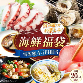 【ふるさと納税】【何が届くかお楽しみ】旬の海の幸 福袋 寄附額 4万円相当 海鮮 魚介類 冷凍 水産加工品 海藻 鮮魚 さかな 刺身 盛り合わせ 詰め合わせ セット 料理 和食 時短 便利 ギフト 広島県産 人気 送料無料 江田島市/七宝丸[XBY007] 【7日以内発送】