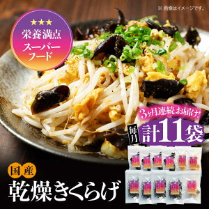 yӂ邳Ɣ[ŁzyS3ցzyh{_X[p[t[hz 炰 Ղ肱Zbg v11 炰 LNQ ؎ ̂ LmR H@  ₳  uߕ [ 