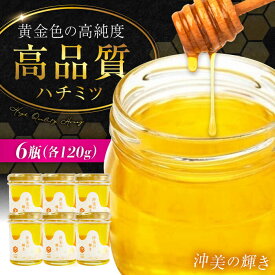 【ふるさと納税】江田島産100％ はちみつ『沖美の輝き』120g×6本 はちみつ ハチミツ 蜂蜜 ジャム ハニー 非加熱 純粋はちみつ パン 国産 常温 備蓄 保存食 非常食 セット 小分け ギフト 広島県 人気 送料無料 江田島市/はつはな果蜂園 [XCD003]