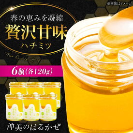 【ふるさと納税】江田島産100％ はちみつ『沖美のはるかぜ』120g×6本 はちみつ ハチミツ 蜂蜜 ジャム ハニー 非加熱 純粋はちみつ パン 国産 常温 備蓄 保存食 非常食 セット 小分け ギフト 広島県 人気 送料無料 江田島市/はつはな果蜂園 [XCD005]