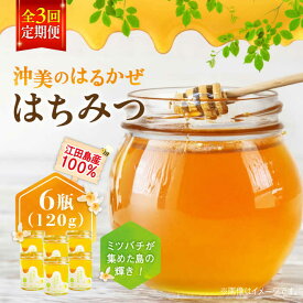 【ふるさと納税】【全3回定期便】江田島産100％ はちみつ『沖美のはるかぜ』120g×6本 はちみつ ハチミツ 蜂蜜 ジャム ハニー 非加熱 純粋はちみつ パン 国産 常温 備蓄 保存食 非常食 セット 小分け ギフト 広島県 人気 送料無料 江田島市/はつはな果蜂園 [XCD015]