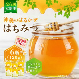 【ふるさと納税】【全6回定期便】江田島産100％ はちみつ『沖美のはるかぜ』120g×6本 はちみつ ハチミツ 蜂蜜 ジャム ハニー 非加熱 純粋はちみつ パン 国産 常温 備蓄 保存食 非常食 セット 小分け ギフト 広島県 人気 送料無料 江田島市/はつはな果蜂園 [XCD016]