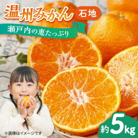 【ふるさと納税】【期間限定】厳選 みかん 5kg 蜜柑 ミカン 温州みかん（石地 中生）5kg 1箱 果物 くだもの フルーツ みかん ミカン オレンジ 蜜柑 柑橘 先行予約 ジュース 果実 甘味 酸味 ギフト 広島県産 人気 送料無料 江田島市/小原農園[XCE002]