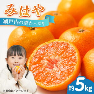 yӂ邳Ɣ[ŁzyԌzI ݂͂ 5kg ݂  ~J ʕ  t[c ݂ ~J IW  k s\ W[X ʎ Ö _ Mtg LY lC 