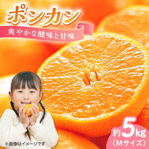 yӂ邳Ɣ[ŁzyԌz|J 5kg ݂  ~J ʕ  t[c ݂ ~J IW  k s\ W[X ʎ Ö _ Mtg LY lC  