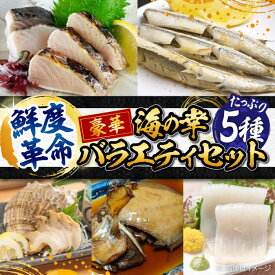 【ふるさと納税】【豪華な海の幸】バラエティセット 5種 鰆 さわら 炙り あぶり 切り身 刺し身 刺身 海鮮 魚介類 冷凍 水産加工品 詰め合わせ セット 小分け 時短 便利 簡単 ギフト 広島県産 人気 送料無料 江田島市/秋宝丸[XCK004]