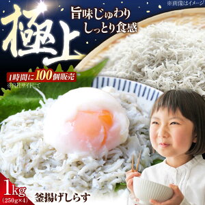 yӂ邳Ɣ[ŁzNxQ ӂӂ g炷 1kg 炷 g Ⓚ VX  pbN   N CN CY Zbg lߍ킹 Mtg LY lC  ]cs/O