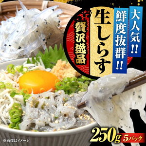 yӂ邳Ɣ[ŁzNxQ 炷 50gX5 炷 Ⓚ VX   g Ⓚ VX  pbN   N CN CY Zbg lߍ킹 Mtg LY lC 
