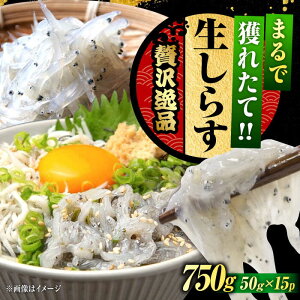 yӂ邳Ɣ[ŁzNxQ 炷50g×15 炷 Ⓚ VX   g Ⓚ VX  pbN   N CN CY Zbg lߍ킹 Mtg LY lC 