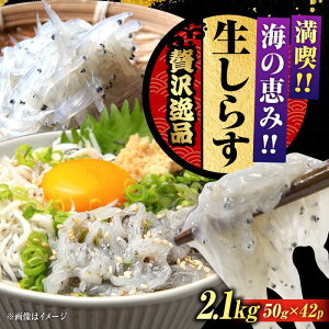yӂ邳Ɣ[ŁzNxQ 炷50g×42 炷 Ⓚ VX g Ⓚ VX  pbN   N CN CY Zbg lߍ킹 Mtg LY lC  ]cs