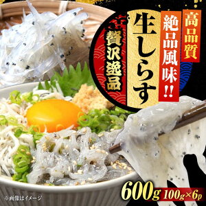 yӂ邳Ɣ[ŁzNxQ 炷100g×6 炷 Ⓚ VX   g Ⓚ VX  pbN   N CN CY Zbg lߍ킹 Mtg LY lC 