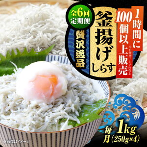 yӂ邳Ɣ[ŁzyS6ցzNxQ ӂӂ g炷 1kg 炷 g Ⓚ VX  pbN   N CN CY Zbg lߍ킹 Mtg LY lC 