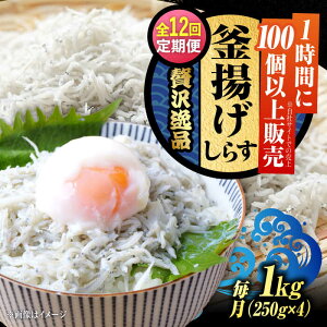yӂ邳Ɣ[ŁzyS12ցzNxQ ӂӂ g炷 1kg 炷 g Ⓚ VX  pbN   N CN CY Zbg lߍ킹 Mtg LY lC 