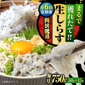 yӂ邳Ɣ[ŁzyS6ցzNxQ 炷 50g×15 炷 g Ⓚ VX  pbN   N CN CY Zbg lߍ킹 Mtg LY lC  ]c