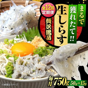 yӂ邳Ɣ[ŁzyS12ցzNxQ 炷 50g×15 炷 g Ⓚ VX  pbN   N CN CY Zbg lߍ킹 Mtg LY lC  ]