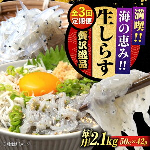 yӂ邳Ɣ[ŁzyS3ցzNxQ 炷 50g×42 炷 g Ⓚ VX  pbN   N CN CY Zbg lߍ킹 Mtg LY lC  ]c