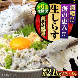 yӂ邳Ɣ[ŁzyS6ցzNxQ 炷 50g×42 炷 g Ⓚ VX  pbN   N CN CY Zbg lߍ킹 Mtg LY lC  ]c