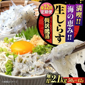 yӂ邳Ɣ[ŁzyS12ցzNxQ 炷 50g×42 炷 g Ⓚ VX  pbN   N CN CY Zbg lߍ킹 Mtg LY lC  ]