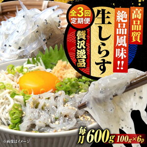 yӂ邳Ɣ[ŁzyS3ցzNxQ 炷 100g×6 炷 g Ⓚ VX  pbN   N CN CY Zbg lߍ킹 Mtg LY lC  ]c