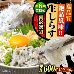 yӂ邳Ɣ[ŁzyS6ցzNxQ 炷 100g×6 炷 g Ⓚ VX  pbN   N CN CY Zbg lߍ킹 Mtg LY lC  ]c