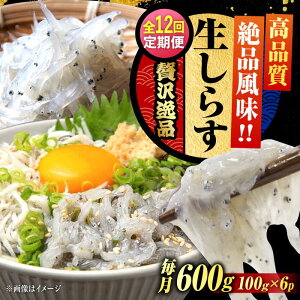 yӂ邳Ɣ[ŁzyS12ցzNxQ 炷 100g×6 炷 g Ⓚ VX  pbN   N CN CY Zbg lߍ킹 Mtg LY lC  ]