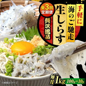 yӂ邳Ɣ[ŁzyS3ցzNxQ 炷 100g×10 炷 g Ⓚ VX  pbN   N CN CY Zbg lߍ킹 Mtg LY lC  ]