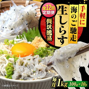 yӂ邳Ɣ[ŁzyS12ցzNxQ 炷 100g×10 炷 g Ⓚ VX  pbN   N CN CY Zbg lߍ킹 Mtg LY lC  ]