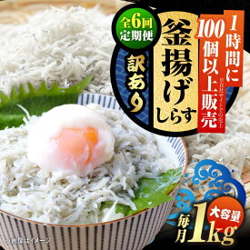 【ふるさと納税】【全6回定期便】【訳あり】鮮度抜群 ふわふわ 釜揚げしらす 1kg （業務用） しらす 釜揚げ 冷凍 シラス 小分け パック 干し 魚介類 鮮魚 海鮮 海産物 セット 詰め合わせ ギフト 広島県産 人気 送料無料 江田島/三島水産株式会社[XCN027]