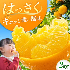 【ふるさと納税】八朔 2kg 小玉 江田島市産 ハッサク はっさく 広島 みかん ミカン 柑橘 柑橘類 果物 くだもの フルーツ オレンジ 蜜柑 柑橘 先行予約 ジュース 果実 甘味 酸味 家庭用 濃厚 デザート 旬 国産 江田島市/ハルテラス農園[XCX001]