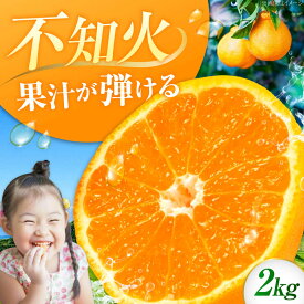 【ふるさと納税】不知火 2kg しらぬい 小玉 デコポン 江田島市産 広島 みかん ミカン 柑橘 柑橘類 果物 くだもの フルーツ オレンジ 蜜柑 柑橘 先行予約 ジュース 果実 甘味 酸味 家庭用 濃厚 デザート 旬 国産 江田島市/ハルテラス農園[XCX002]