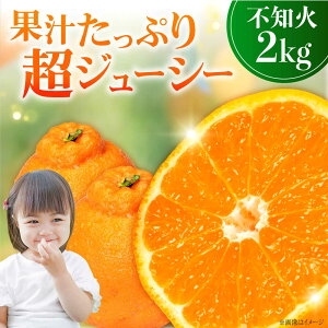 yӂ邳Ɣ[Łzsm 2kg ʂ  fR| ]csY L ݂ ~J k k ʕ  t[c ƒp Z fU[g { Y neX_/]cs[XCX002]