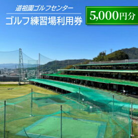 【ふるさと納税】道祖園ゴルフセンターゴルフ練習場利用券【5,000円分】【1666366】